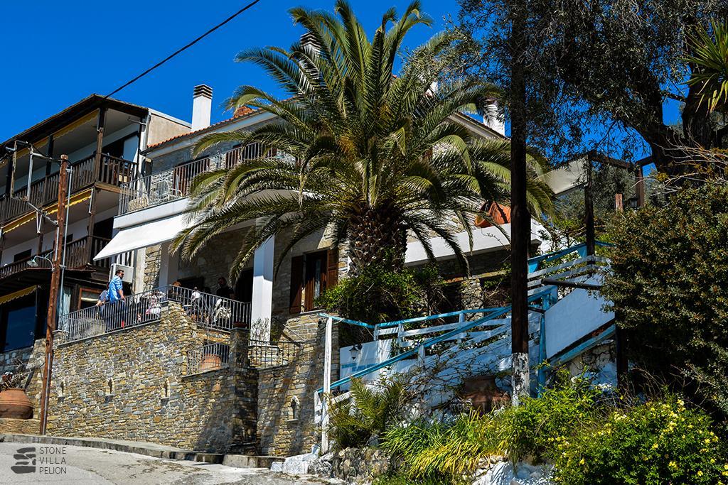 Stone Villa Pelion Áfissos Extérieur photo